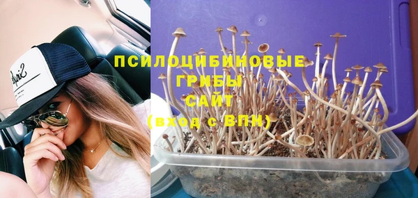 молекула духа Алексеевка