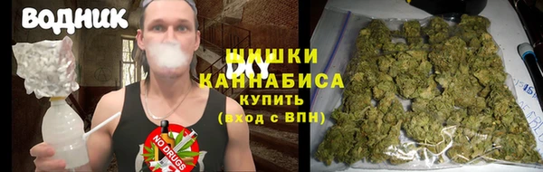 крисы Новодвинск