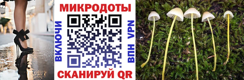 Псилоцибиновые грибы Cubensis  Невинномысск 