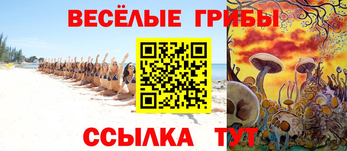 Невинномысск  Галлюциногенные грибы Cubensis  Вход с VPN 