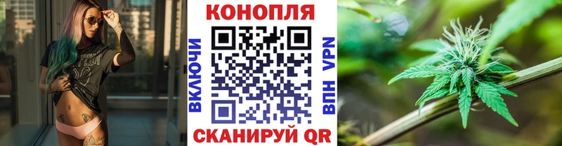 купить   Невинномысск  Канабис план 